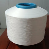 Nylon  covered yarn